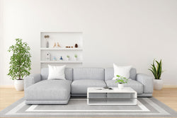 Transform Your Living Space with Moxtons: Your One-Stop Home and Garden Destination
