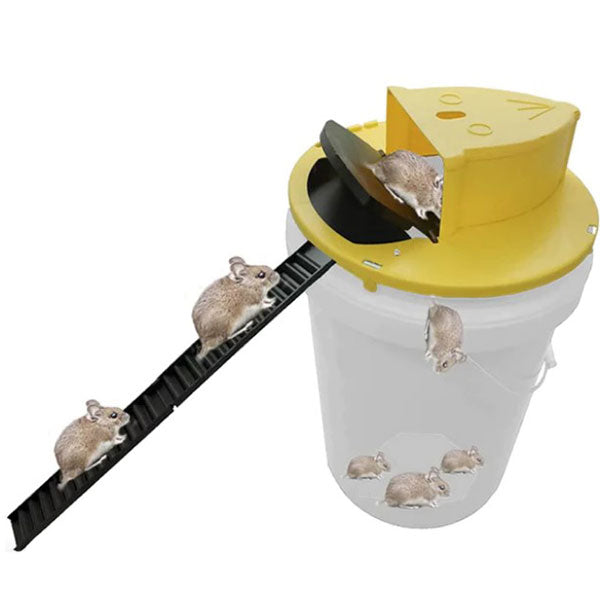 Mouse Trap Bucket Lid For Catching Rats and Mice with Reusable Design